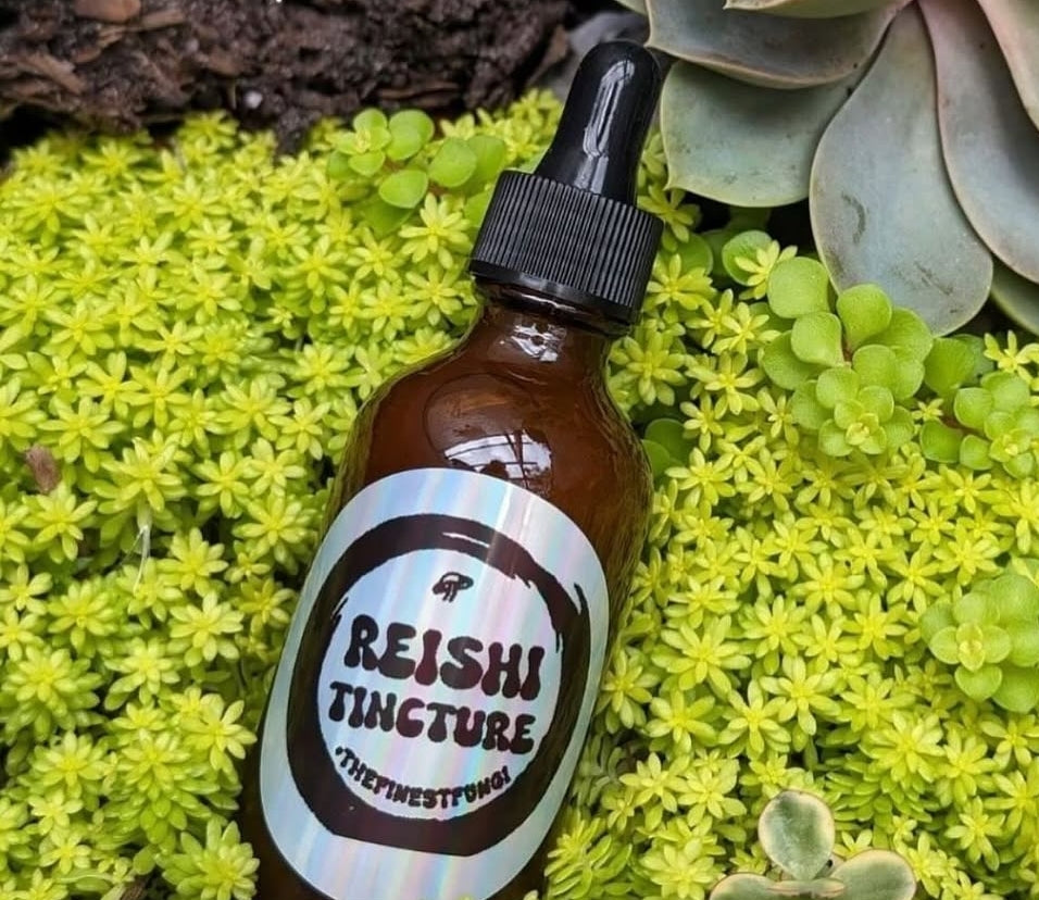 Reishi Tincture